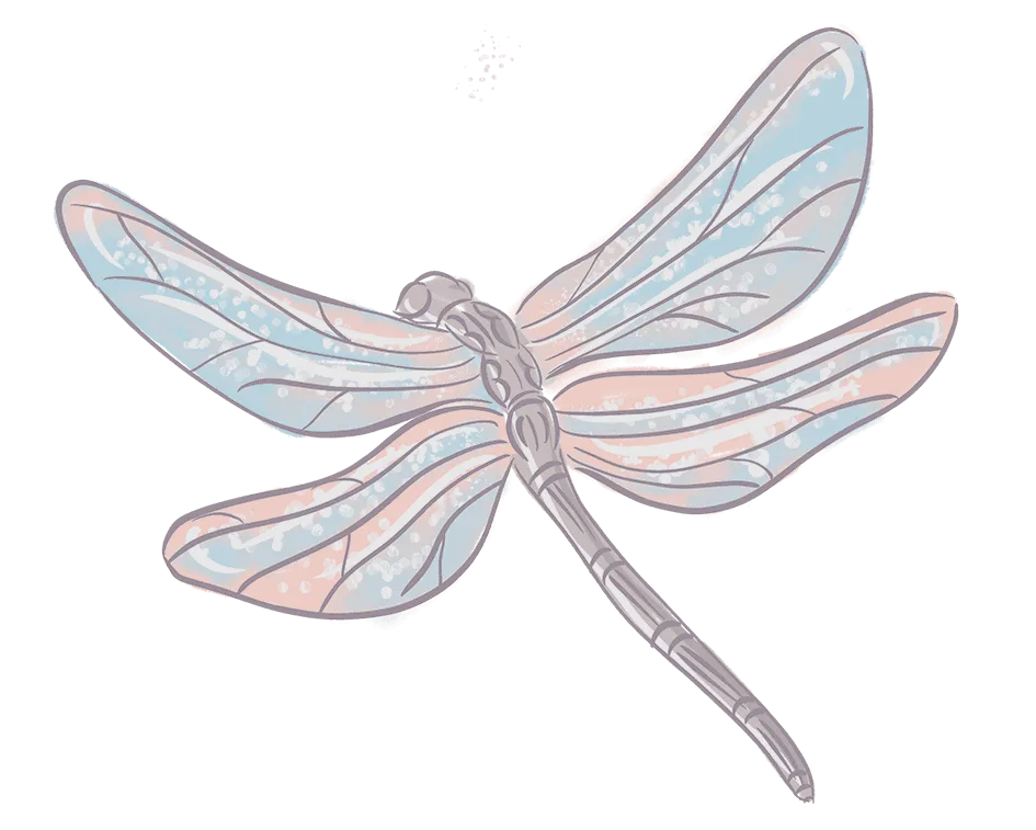 dragonfly