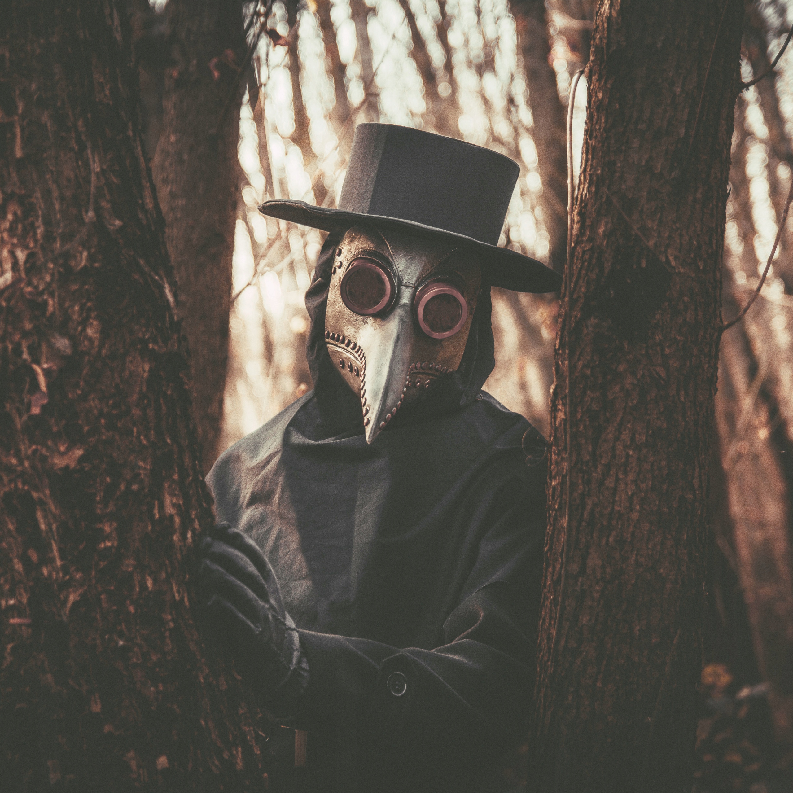 Helovino kaukė, Varnas gydytojas 6 Helovino kaukė, Varnas gydytojas - Image 6