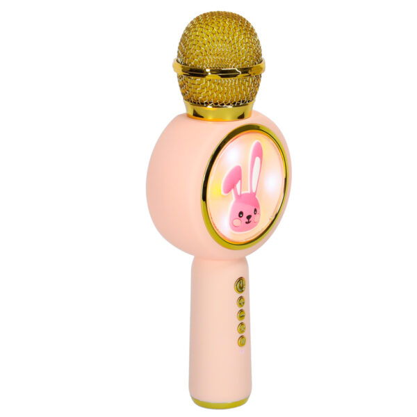 Belaidis karaoke mikrofonas vaikams